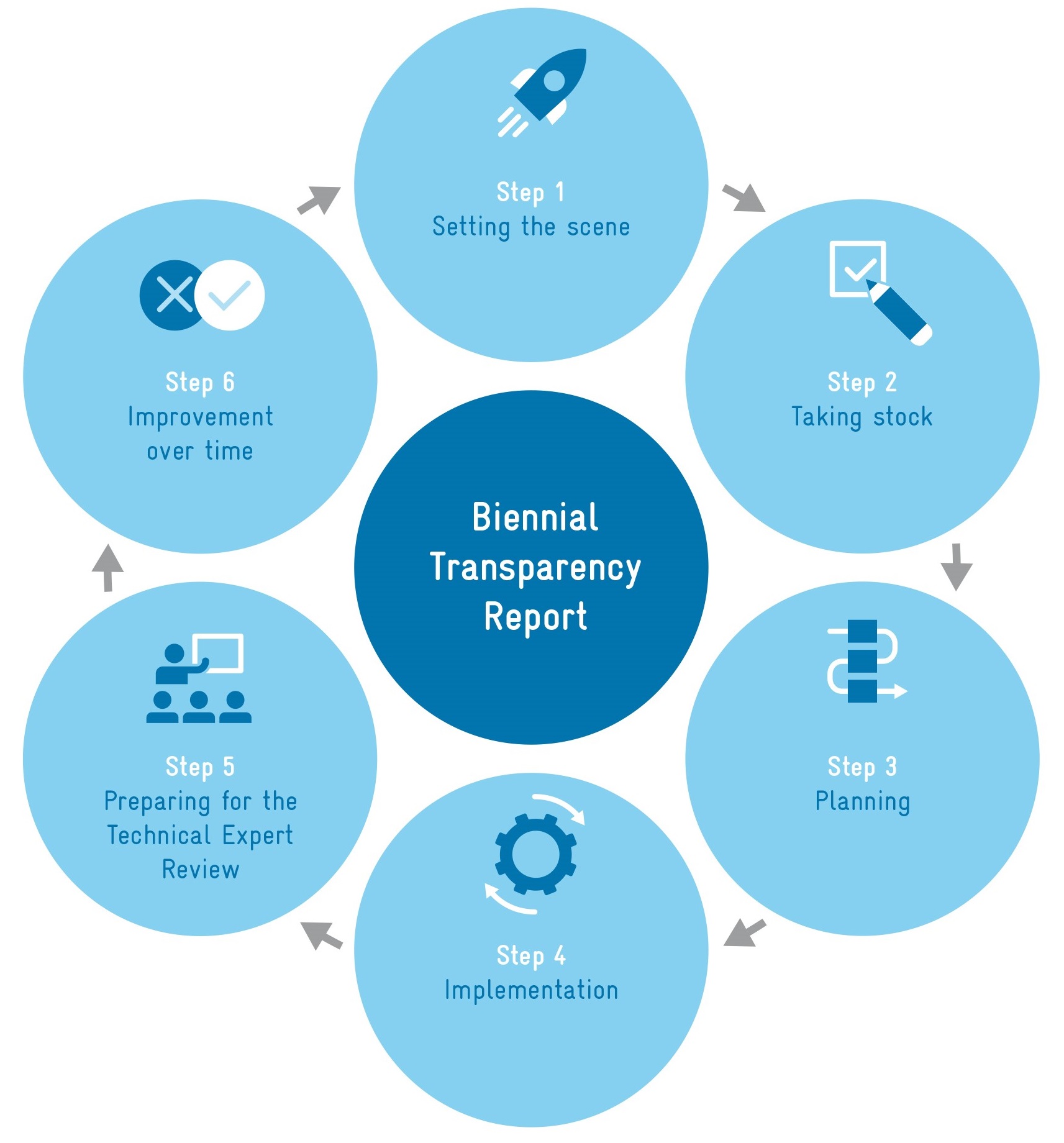 Biennial Transparency Report Guidance and Roadmap Tool