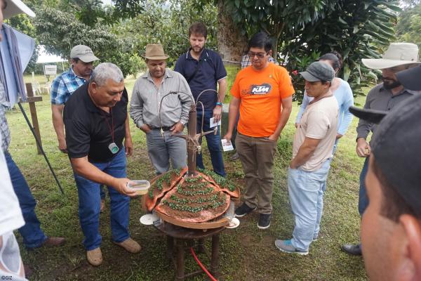 Coffee farmers learning about soil management