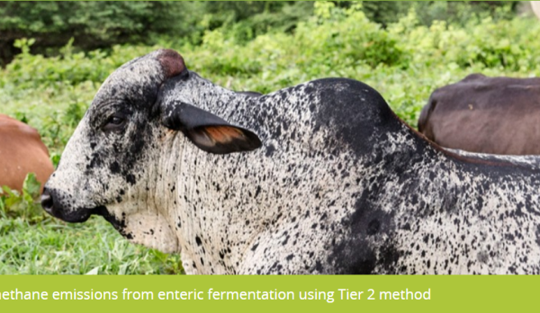 Course: Estimating methane emissions from enteric fermentation using Tier 2 method