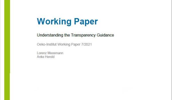 Cover_Oeko Institut_2021_ WP-Transparency-Guidance.JPG 