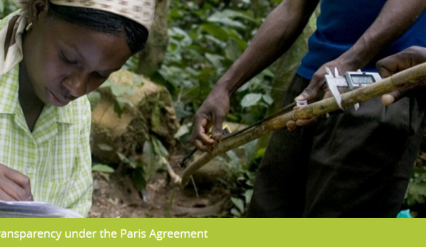 Course: Forests and transparency under the Paris Agreement