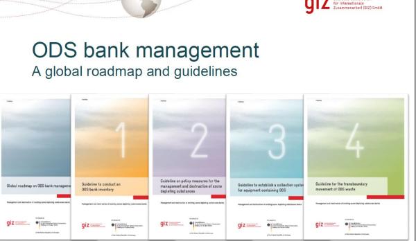 ODS banks global roadmap tool