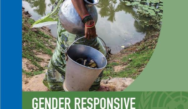 UNDP Gender Responsive National Toolkit