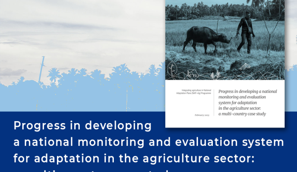 Progress in developing a national monitoring and evaluation system for adaptation in the agriculture sector: a multi-country case study