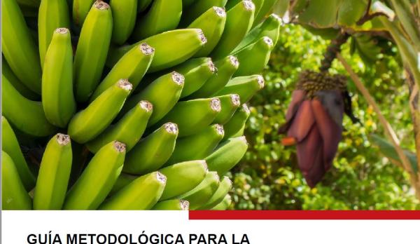 Guía metodológica para la huella de carbon y la heulla de agua en la producción bananera 