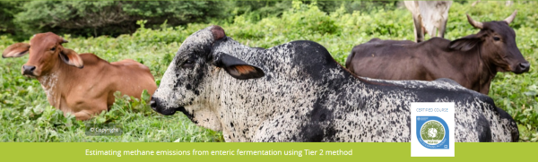 Course: Estimating methane emissions from enteric fermentation using Tier 2 method