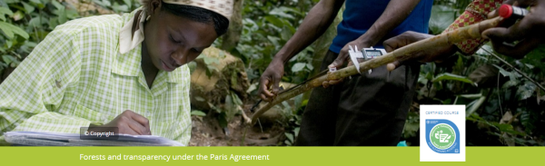 Course: Forests and transparency under the Paris Agreement