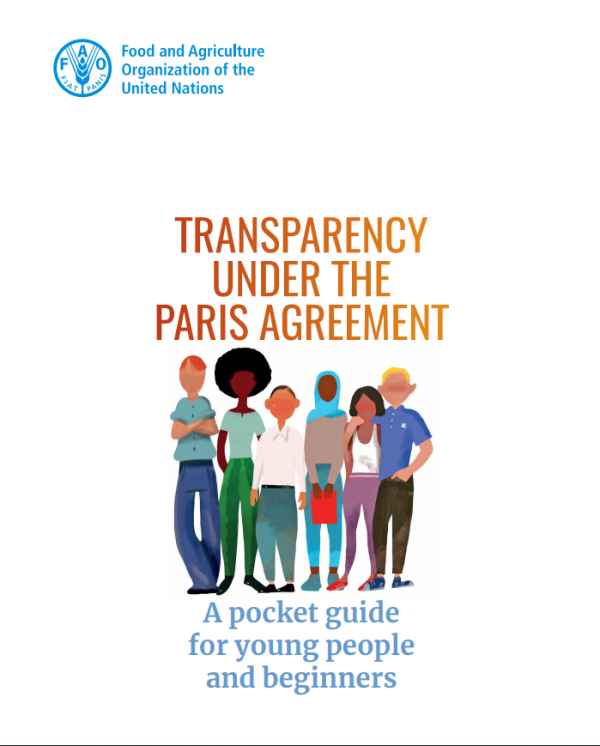 Transparency under the Paris Agreement. A pocket guide for young people and beginners