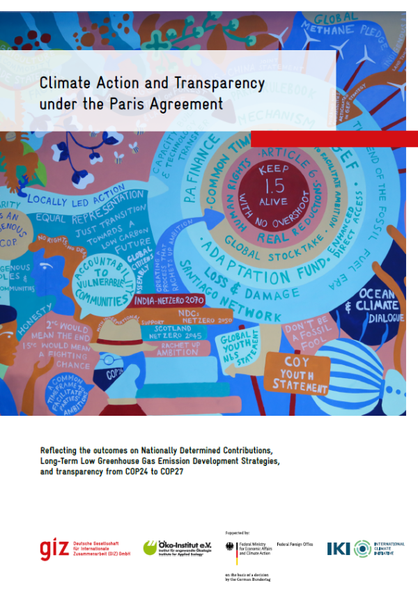 Climate Action and Transparency under the Paris Agreement